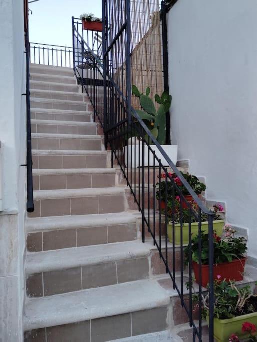 Liberta Holiday home